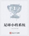 足球小將係統